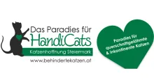 Katzenhoffnung Steiermark